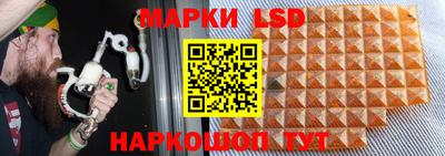 молекула духа Владивосток