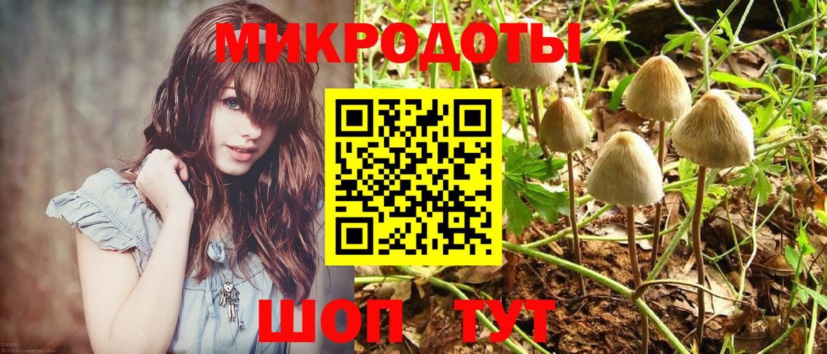Липецк  Галлюциногенные грибы ЛСД  Вход с VPN 